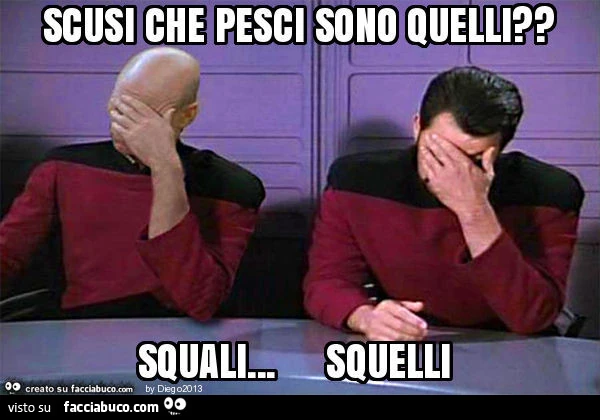 Scusi che pesci sono quelli? Squali&hellip; squelli
