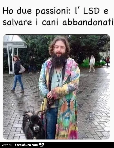 Vaccata