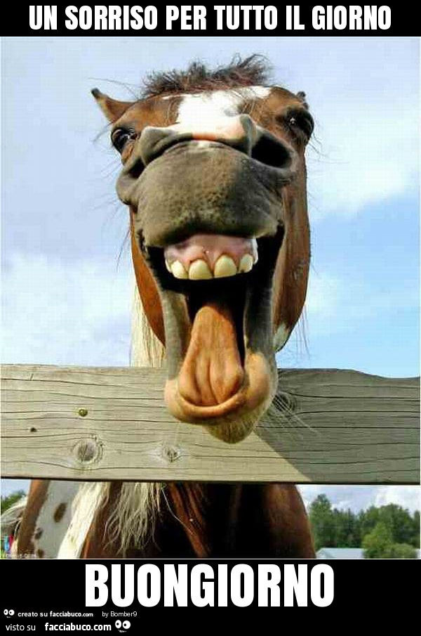 Un sorriso per tutto il giorno buongiorno