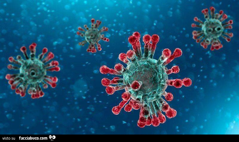 Coronavirus