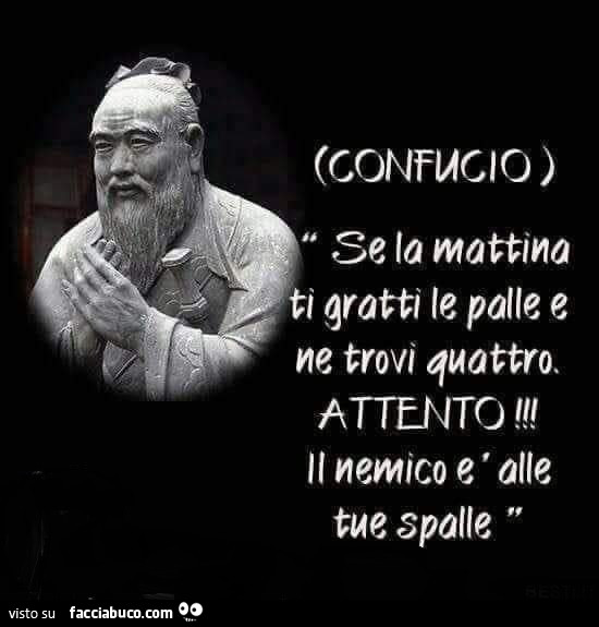 Confucio: se la mattina ti gratti le palle e ne trovi quattro. Attento il nemico è alle tue spalle