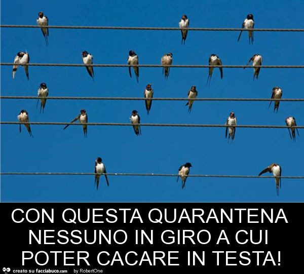 Con questa quarantena nessuno in giro a cui poter cacare in testa