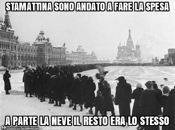 Stamattina sono andato a fare la spesa a parte la neve il resto era lo stesso