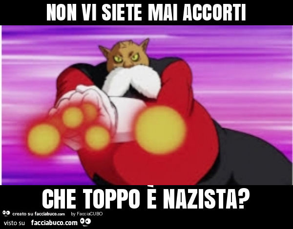 Non vi siete mai accorti che toppo è nazista?