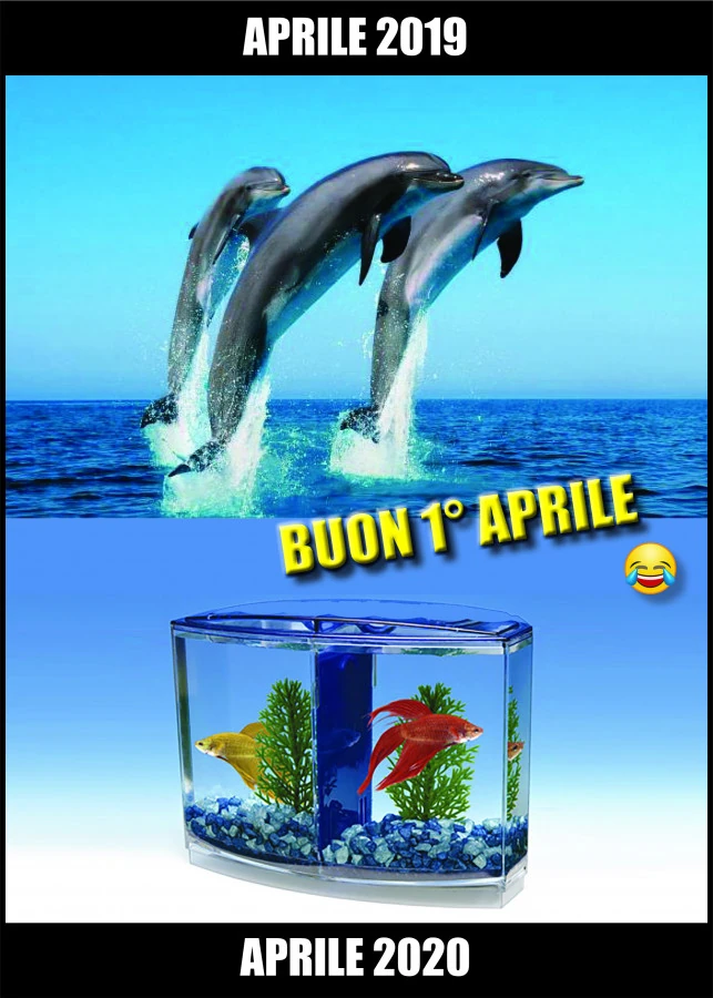 Trova le differenze. Aprile 2020. Pesci fuor d'acqua&hellip; pesci nell'acquario