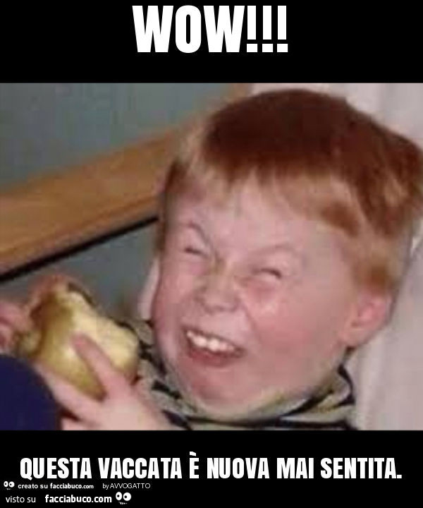 Vaccata