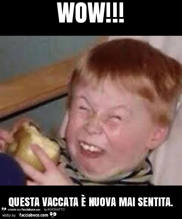 Vaccata