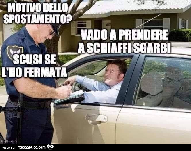 Tutti i meme su Vittorio Sgarbi - Facciabuco.com