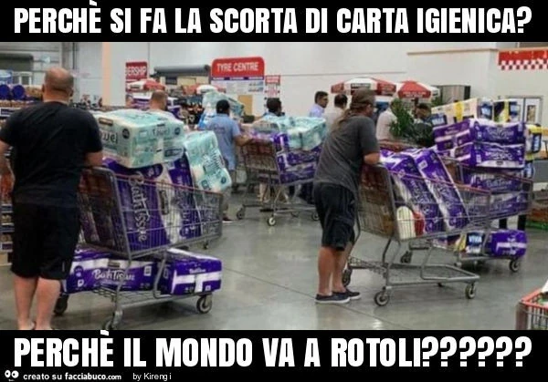 Perchè si fa la scorta di carta igienica? Perchè il mondo va a rotoli?