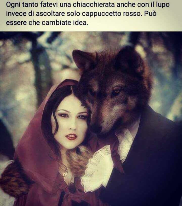Ogni tanto fatevi una chiacchierata anche con il lupo invece di ascoltare solo cappuccetto rosso