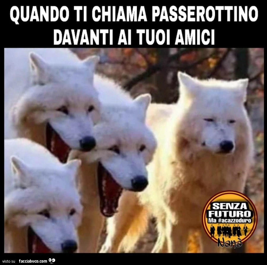 Nomignoli