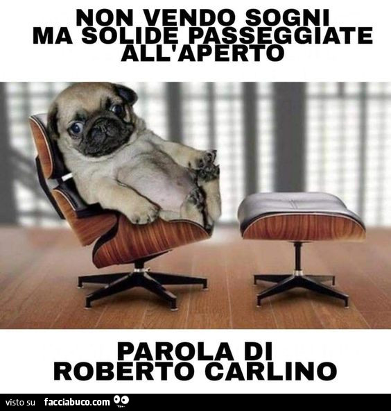 Cani Quarantena