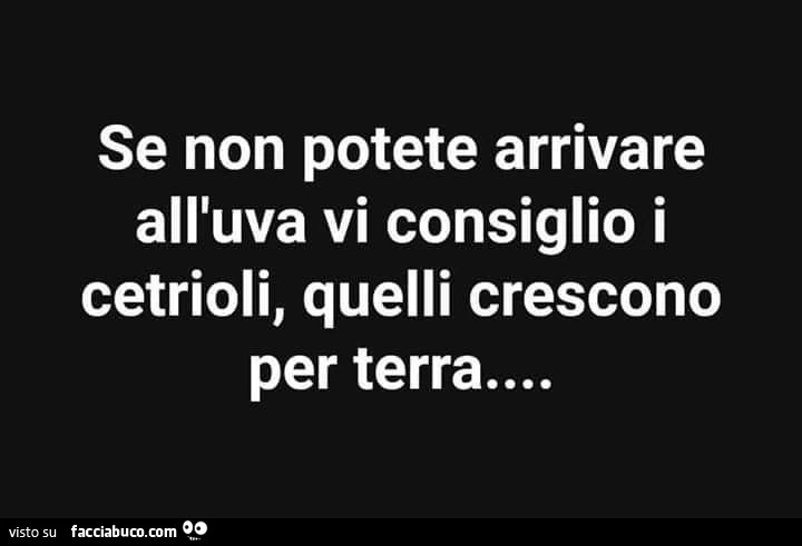 Se non potete arrivare all'uva vi consiglio i cetrioli, quelli crescono per terra