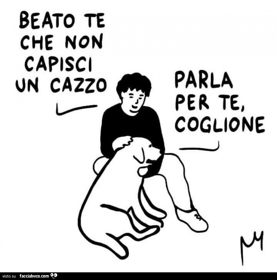 Beato te che non capisci un cazzo. Parla per te, coglione