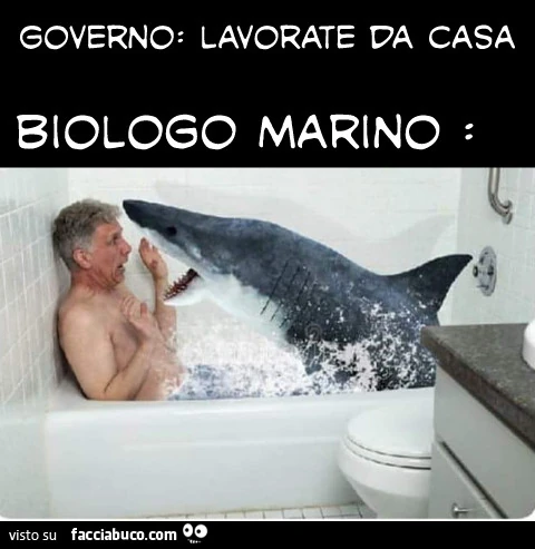 Governo lavorate da casa biologo marino