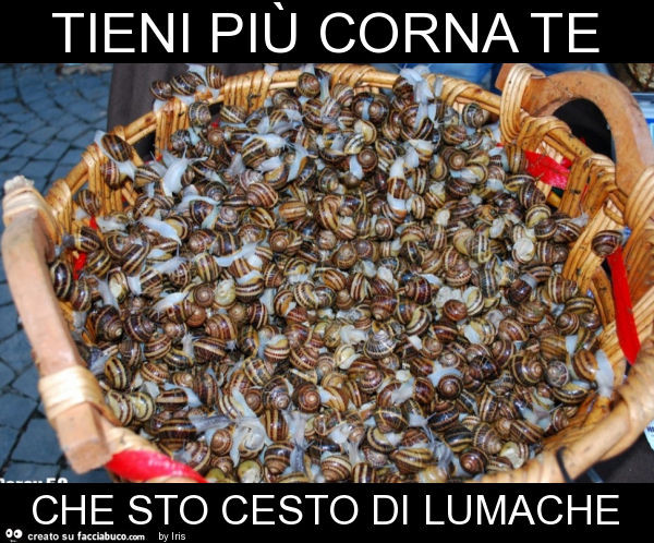Tieni più corna te che sto cesto di lumache