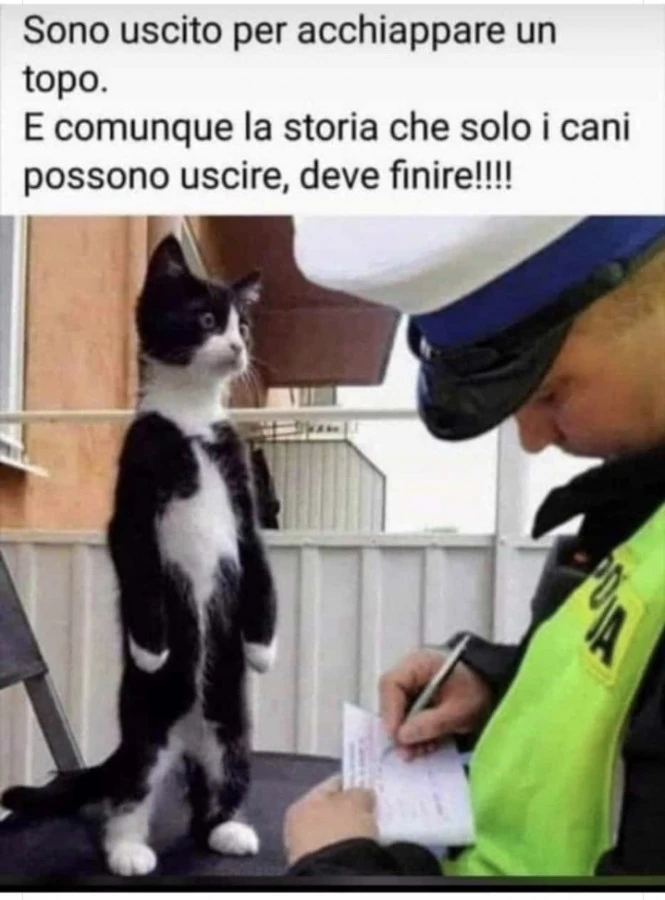 Vaccata