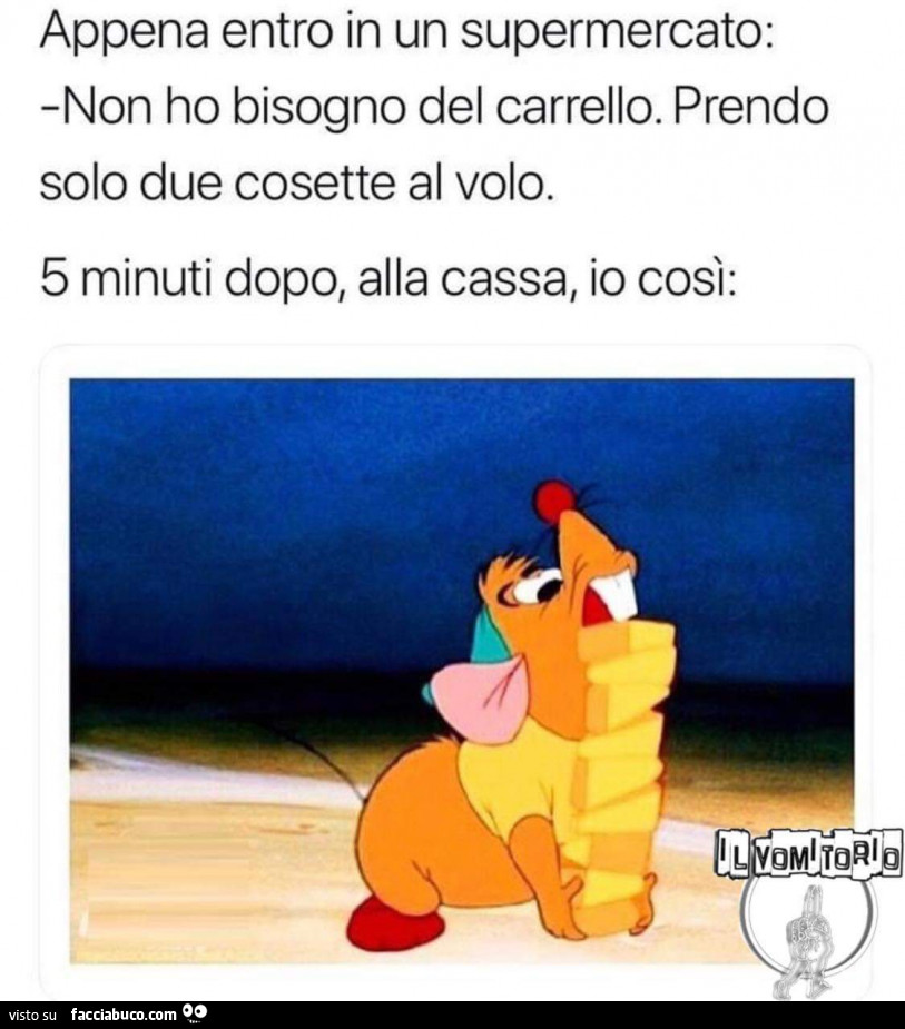 Vaccata