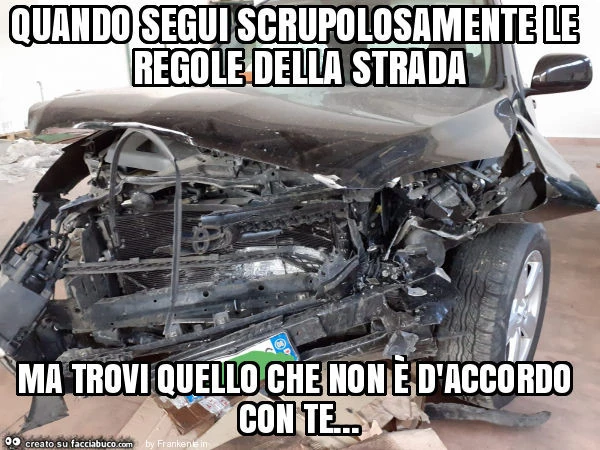 Quando segui scrupolosamente le regole della strada ma trovi quello che non è d'accordo con te
