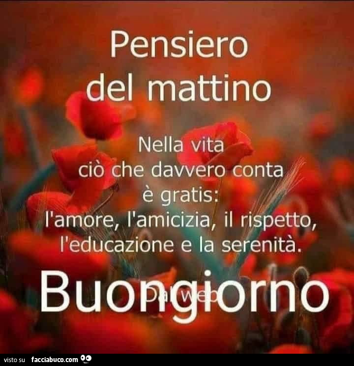 Pensiero del mattino nella vita ciò che davvero conta è gratis: l'amore, l'amicizia, il rispetto, l'educazione e la serenità. Buongiorno