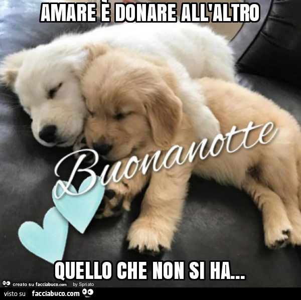 Amare è donare all'altro quello che non si ha
