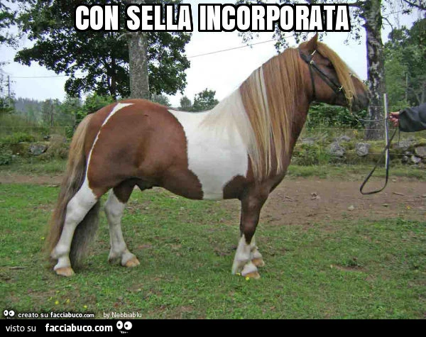 Con sella incorporata