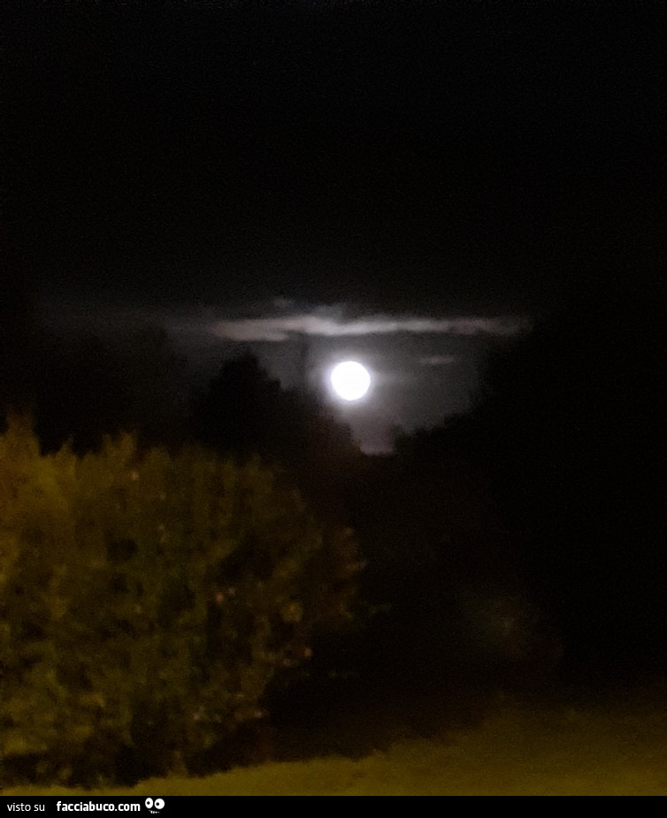 Luna illumina il cielo di notte