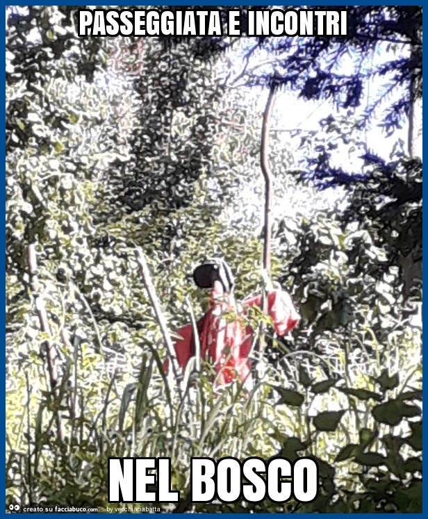 Passeggiata e incontri nel bosco