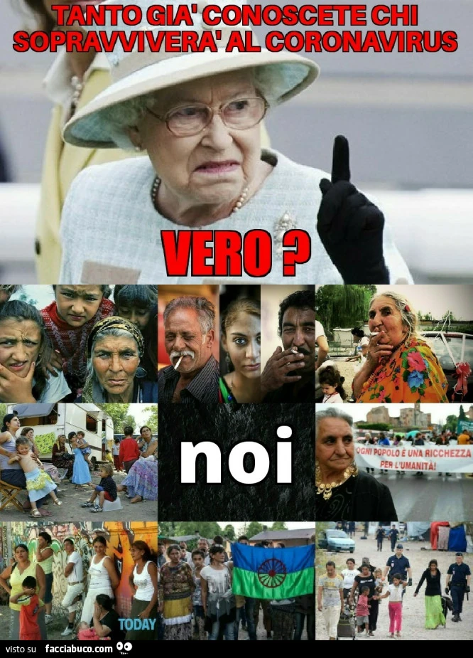Vaccata