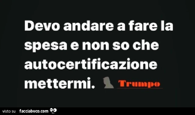 Devo andare a fare la spesa e non so che autocertificazione mettermi