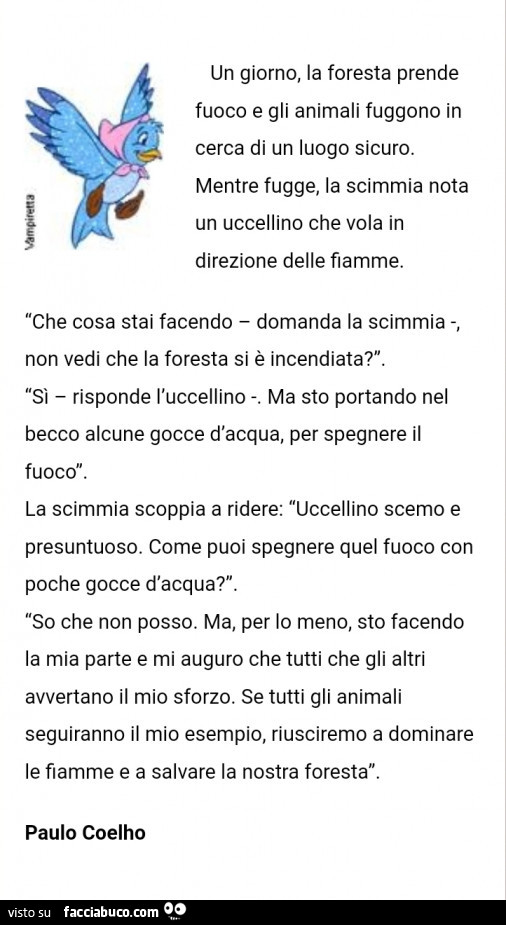 Un giorno, la foresta prende fuoco e gli animali fuggono in cerca di un luogo sicuro. Mentre fugge, la scimmia nota un uccellino che vola in direzione delle fiamme. Che cosa stai facendo domanda la scimmia, non vedi che la foresta