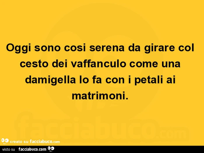 Oggi sono cosi serena da girare col cesto dei vaffanculo come una damigella lo fa con i petali ai matrimoni