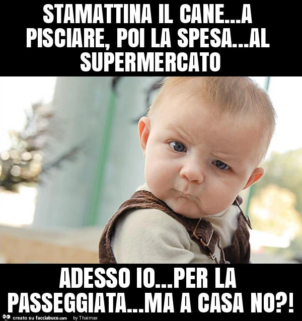 Stamattina il cane&hellip; a pisciare, poi la spesa&hellip; al supermercato adesso io&hellip; per la passeggiata&hellip; ma a casa no?
