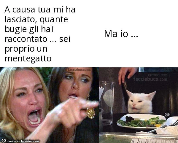 A causa tua mi ha lasciato, quante bugie gli hai raccontato&hellip; sei proprio un mentegatto. Ma io