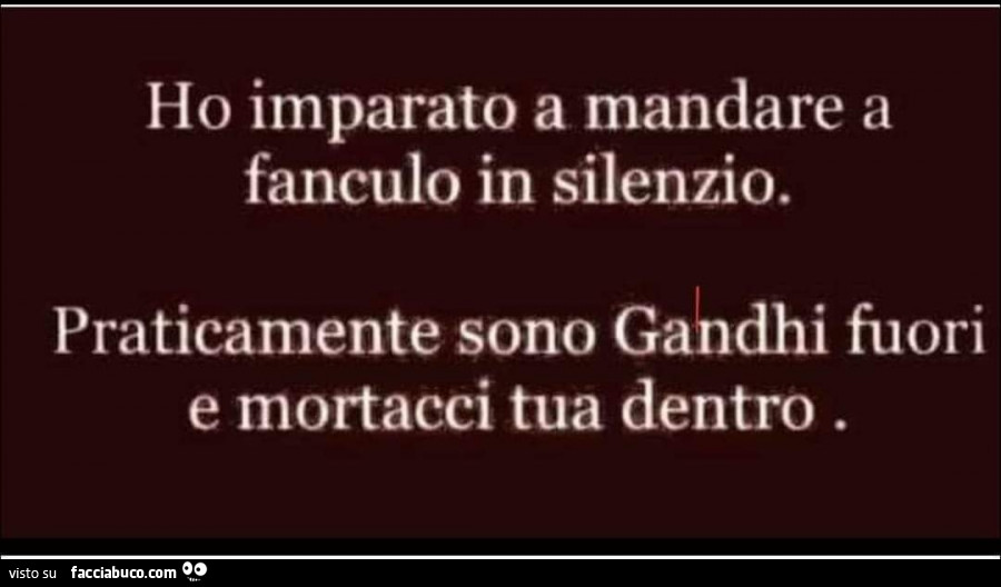 Ho imparato a mandare a fanculo in silenzio. Praticamente sono gandhi fuori e mortacci tua dentro