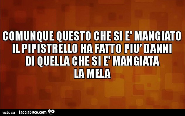 Comunque questo che si è mangiato il pipistrello ha fatto più danni di quella che si è mangiata la mela