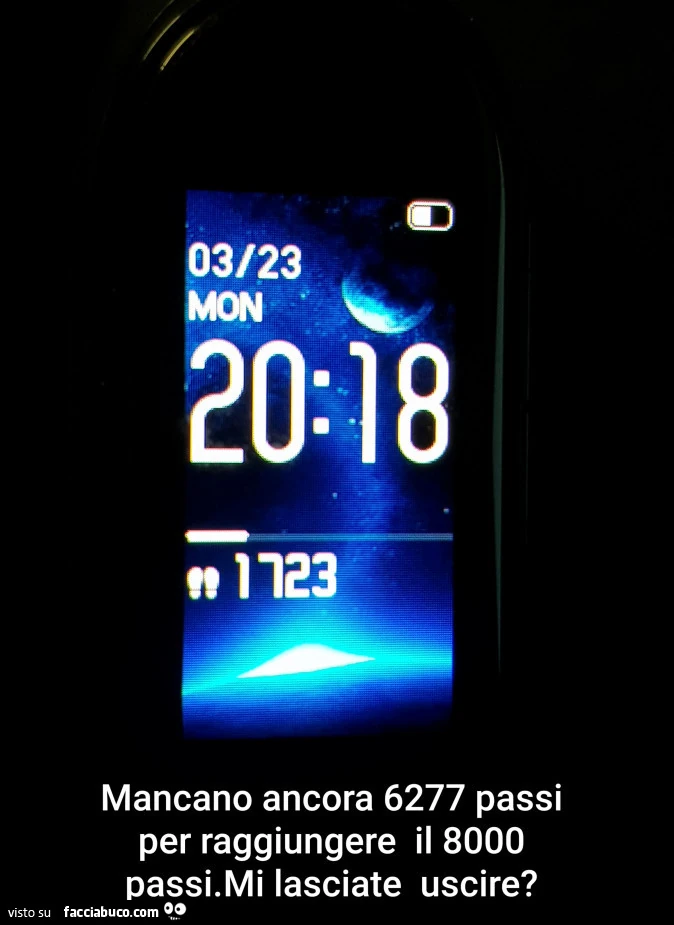 Mancano ancora 6277 passi per raggiungere il 8000 passi. Mi lasciate uscire?