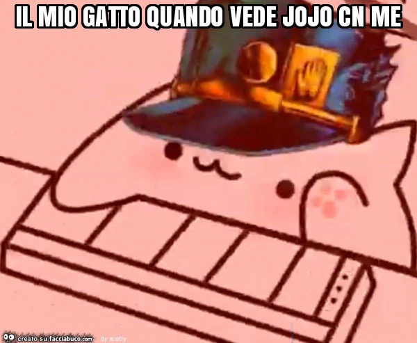 Il mio gatto quando vede jojo cn me