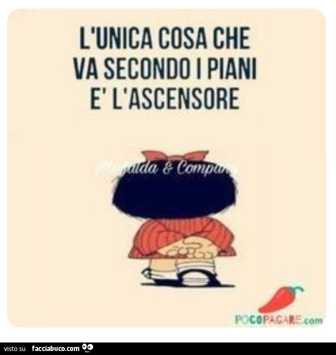 L'unica cosa che va secondo i piani è l'ascensore