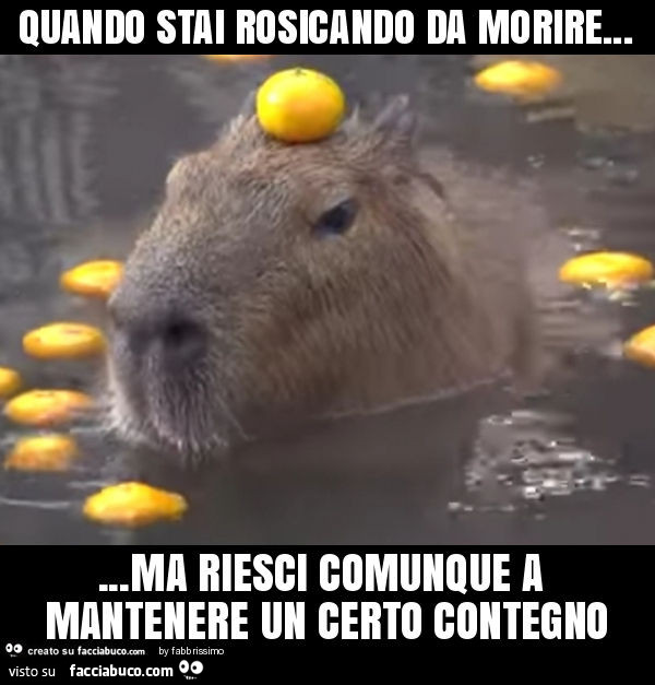 Quando stai rosicando da morire… ma riesci comunque a mantenere un certo contegno