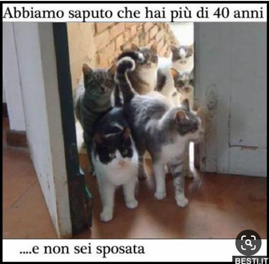 Donne single e gatti