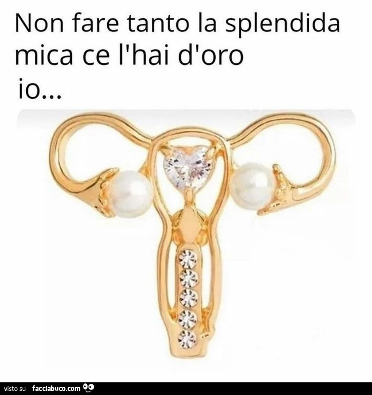 Non fare tanto la splendida mica ce l'hai d'oro. Io
