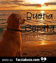 Cane al mare. Buona serata