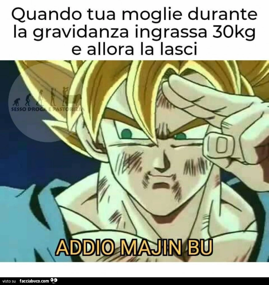Quando tua moglie durante la gravidanza ingrassa 30 kg e allora la lasci. Addio Majin Bu