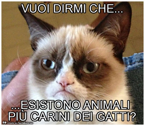 Vuoi dirmi che&hellip; esistono animali più carini dei gatti?