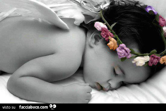 Buonanotte amore