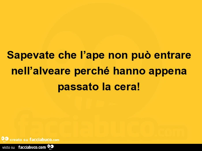 Sapevate che l'ape non può entrare nell'alveare perché hanno appena passato la cera