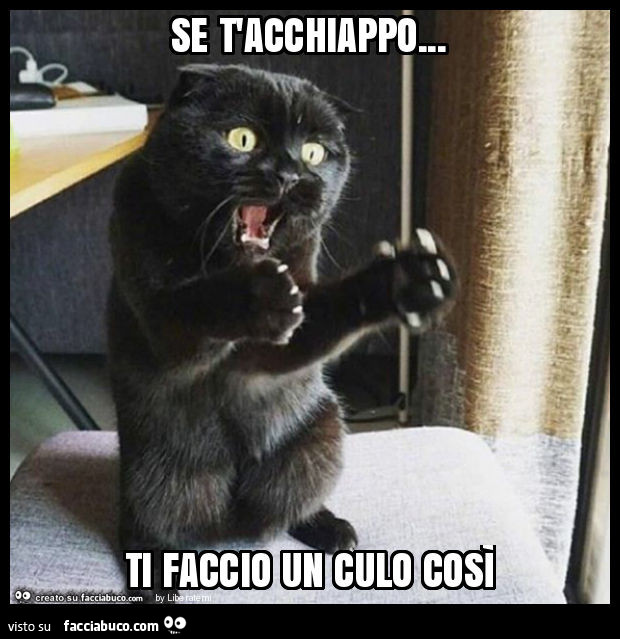Se t'acchiappo… ti faccio un culo così