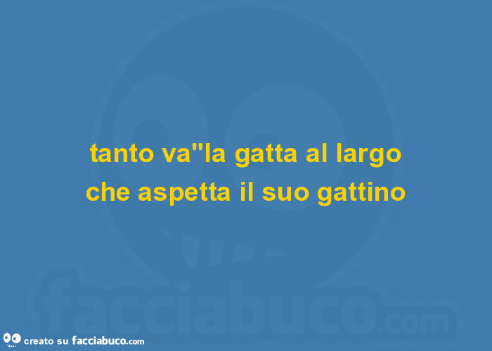 Tanto va"la gatta al largo che aspetta il suo gattino