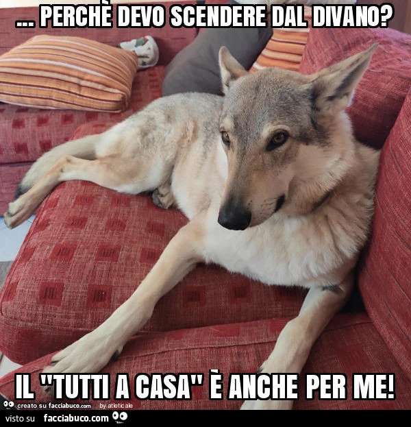 Perchè devo scendere dal divano? Il "tutti a casa" è anche per me